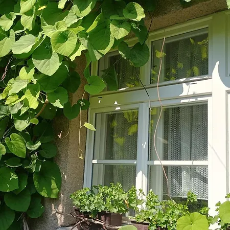 Point - 25 Min To The Center By Tram *