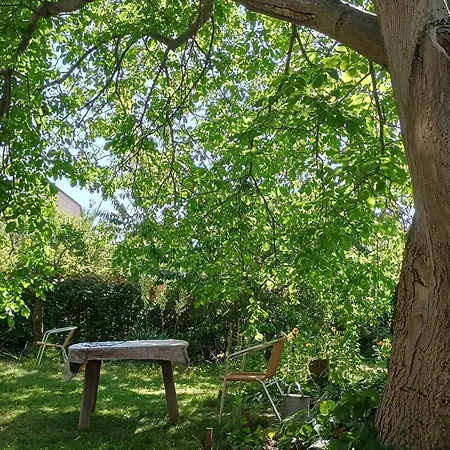 Point - 25 Min To The Center By Tram