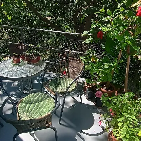 Point - 25 Min To The Center By Tram *