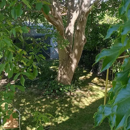 Lejlighed Point - 25 Min To The Center By Tram *