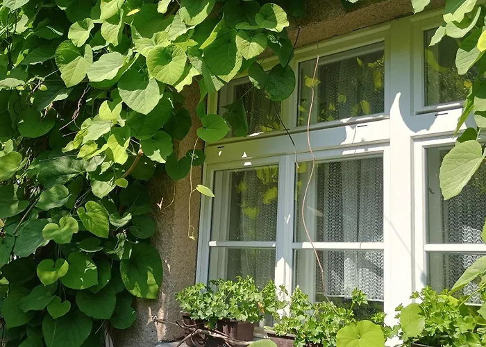 Point - 25 Min To The Center By Tram *