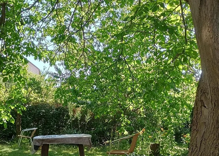 Point - 25 Min To The Center By Tram