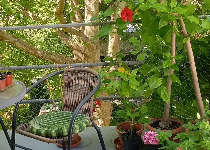 Point - 25 Min To The Center By Tram Praga