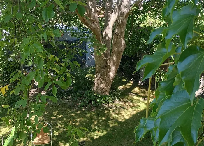 Appartement Point - 25 Min To The Center By Tram *